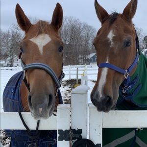 Meet your Posher, Melinda